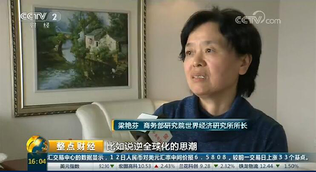 央視財經頻道：《2017國家風險分析報告》發布