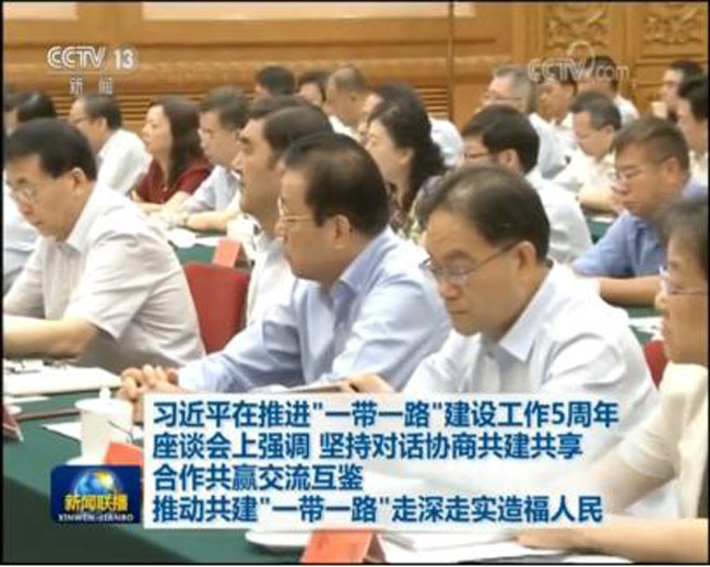 中國信保王毅董事長參加推進“一帶一路”建設工作5周年座談會