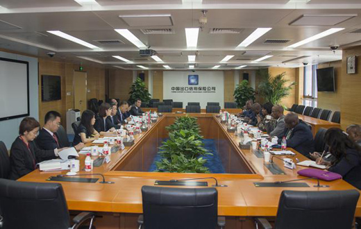 為中非合作搭建信用之橋——中國信保積極參與中非合作論壇北京峰會