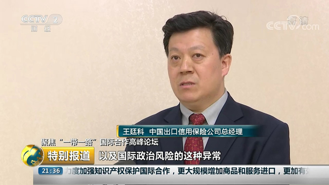 央視財經頻道采訪王廷科總經理